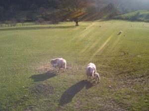 947113_10151351711941470_864633664_n