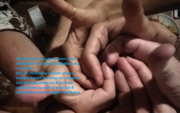 53150541_10155869633541470_5368208726245244928_n