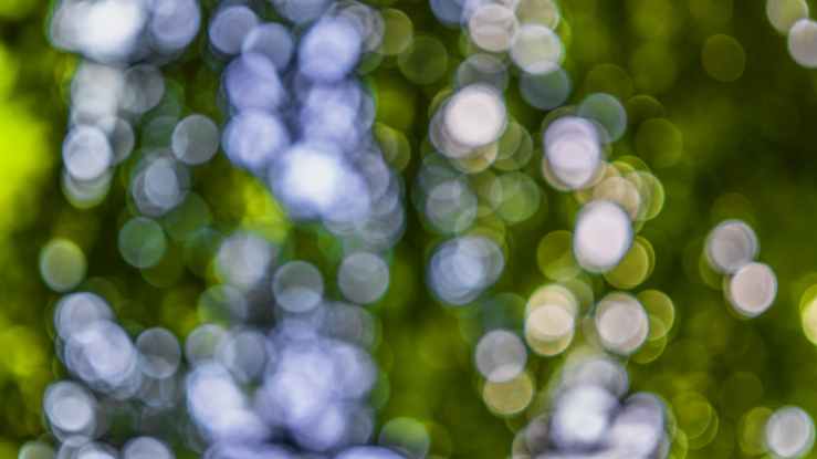 blur bokeh circles colors