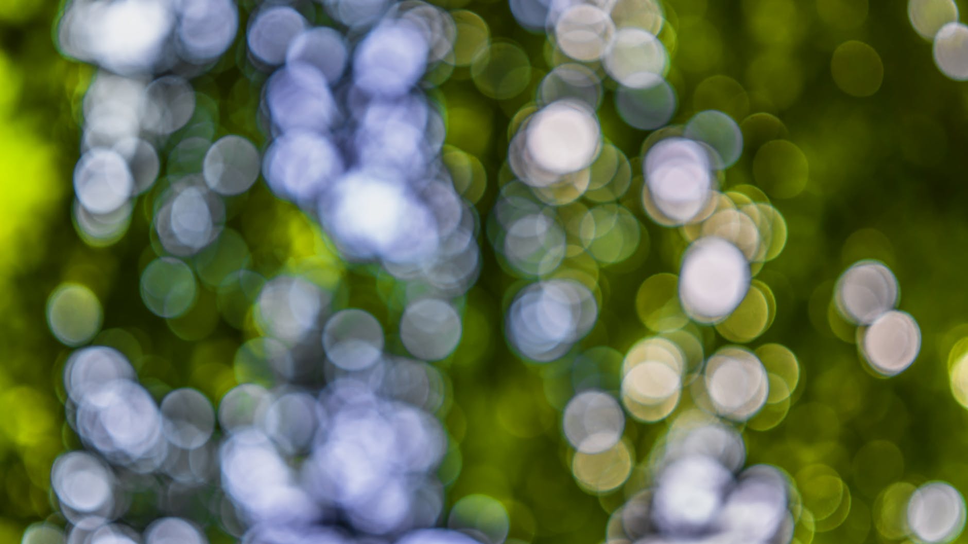 blur bokeh circles colors