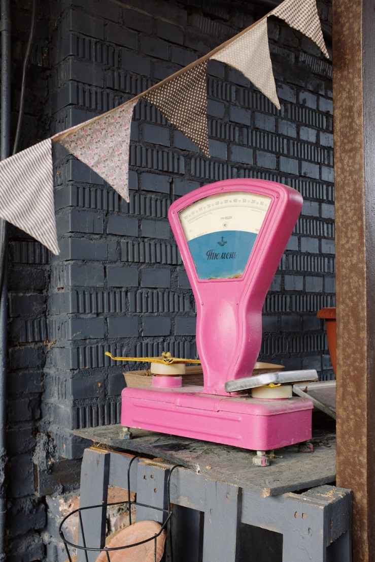 Deeply Adapting Diets – meat-free or self-sufficiency?