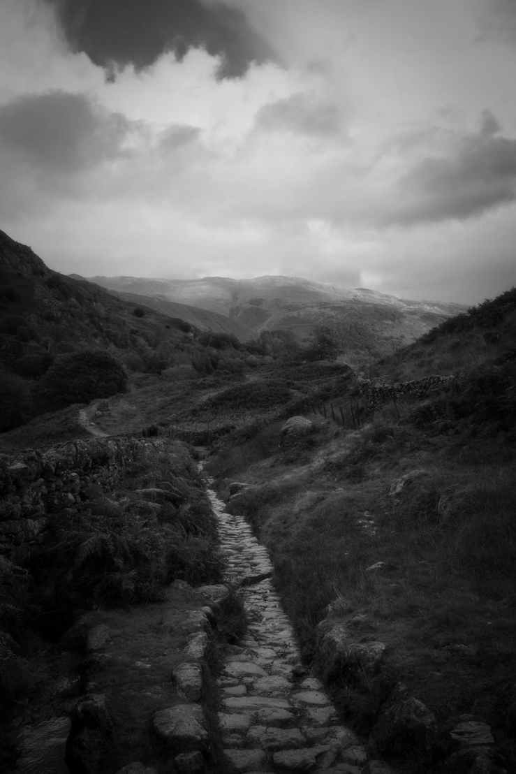 Leading in disruptive times – support yourself with a short&nbsp;course