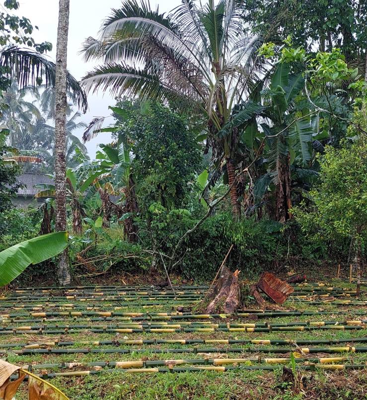 Let’s chatGPT about gardening