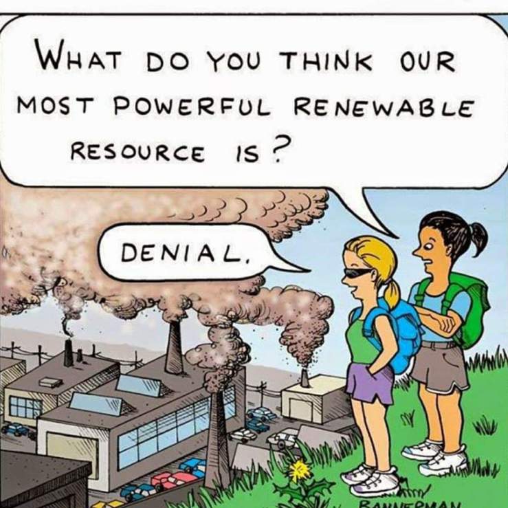 Critical theory ain’t&nbsp;woke