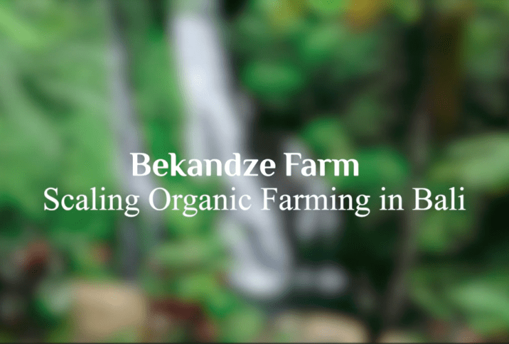 What the farmers&nbsp;say